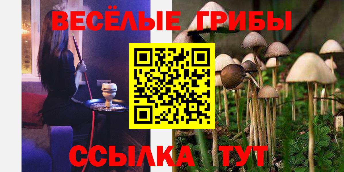 Камышин  Галлюциногенные грибы мицелий  Галлюциногенные грибы ЛСД  Вход с VPN 